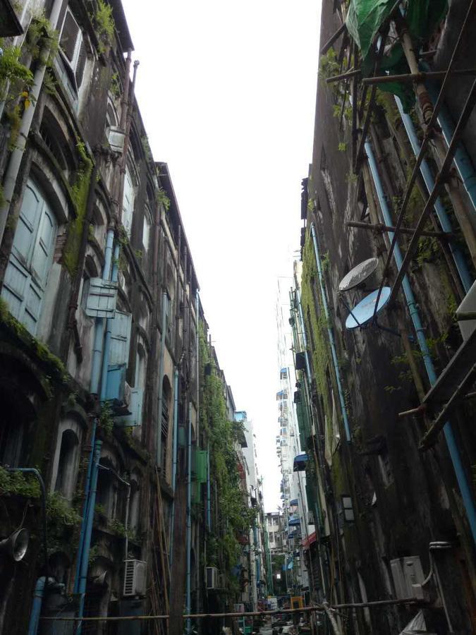 Baobabed Hostel Yangon, Myanmar Kültér fotó